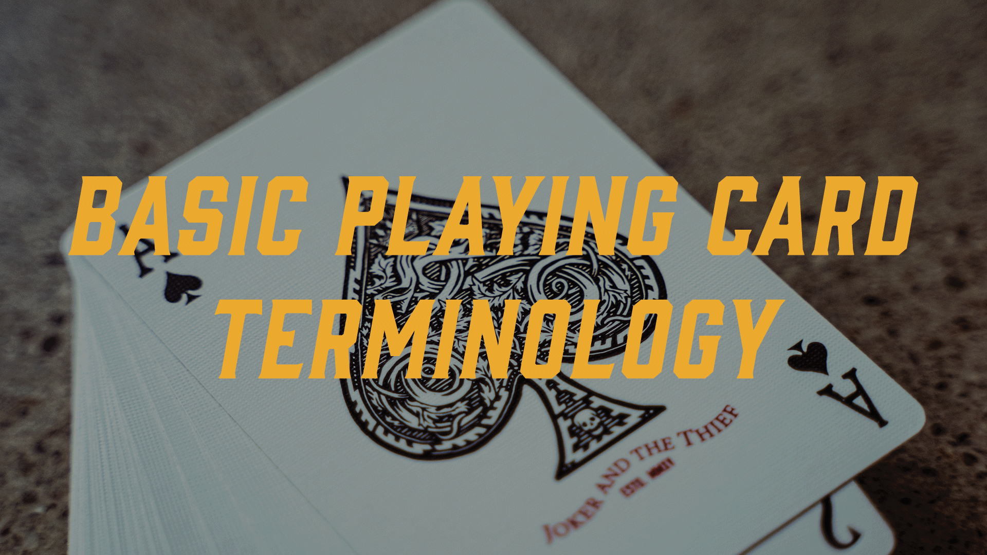 Basic Playing Card Terminology: Everything You Need to Know