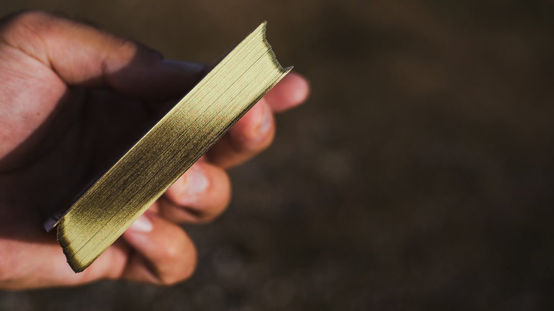 Dystopia: Interceptor Gilded Special Edition Playing Cards - Joker and the Thief