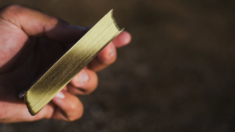 Dystopia: Interceptor Gilded Special Edition Playing Cards - Joker and the Thief
